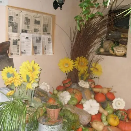 Pensión La Huerta De San Lorenzo Segovia