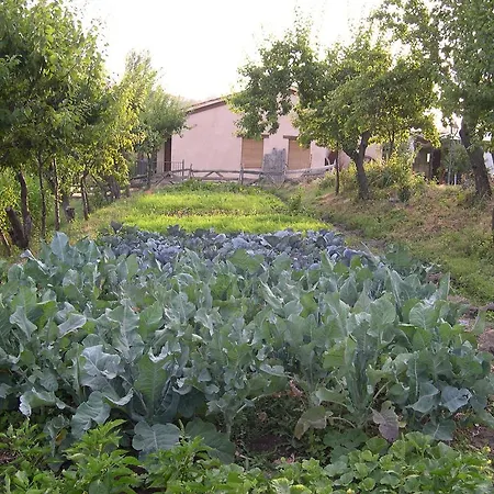 Pensión La Huerta De San Lorenzo *
