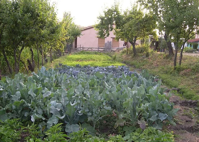 Gasthof La Huerta De San Lorenzo *